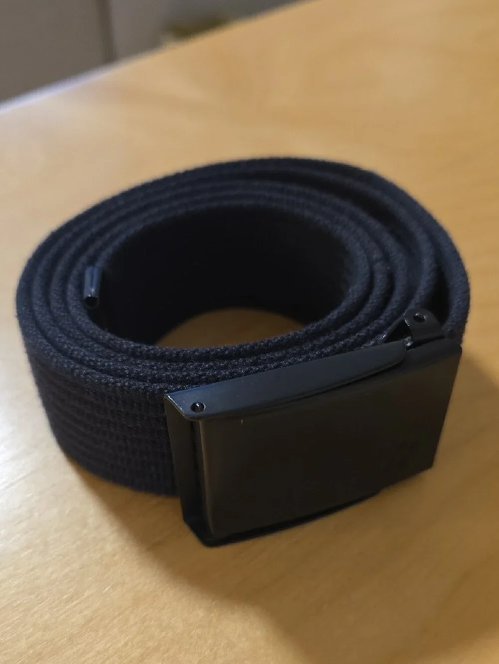 Aritzia Black Webbed Belt with Glossy Logo Buckle